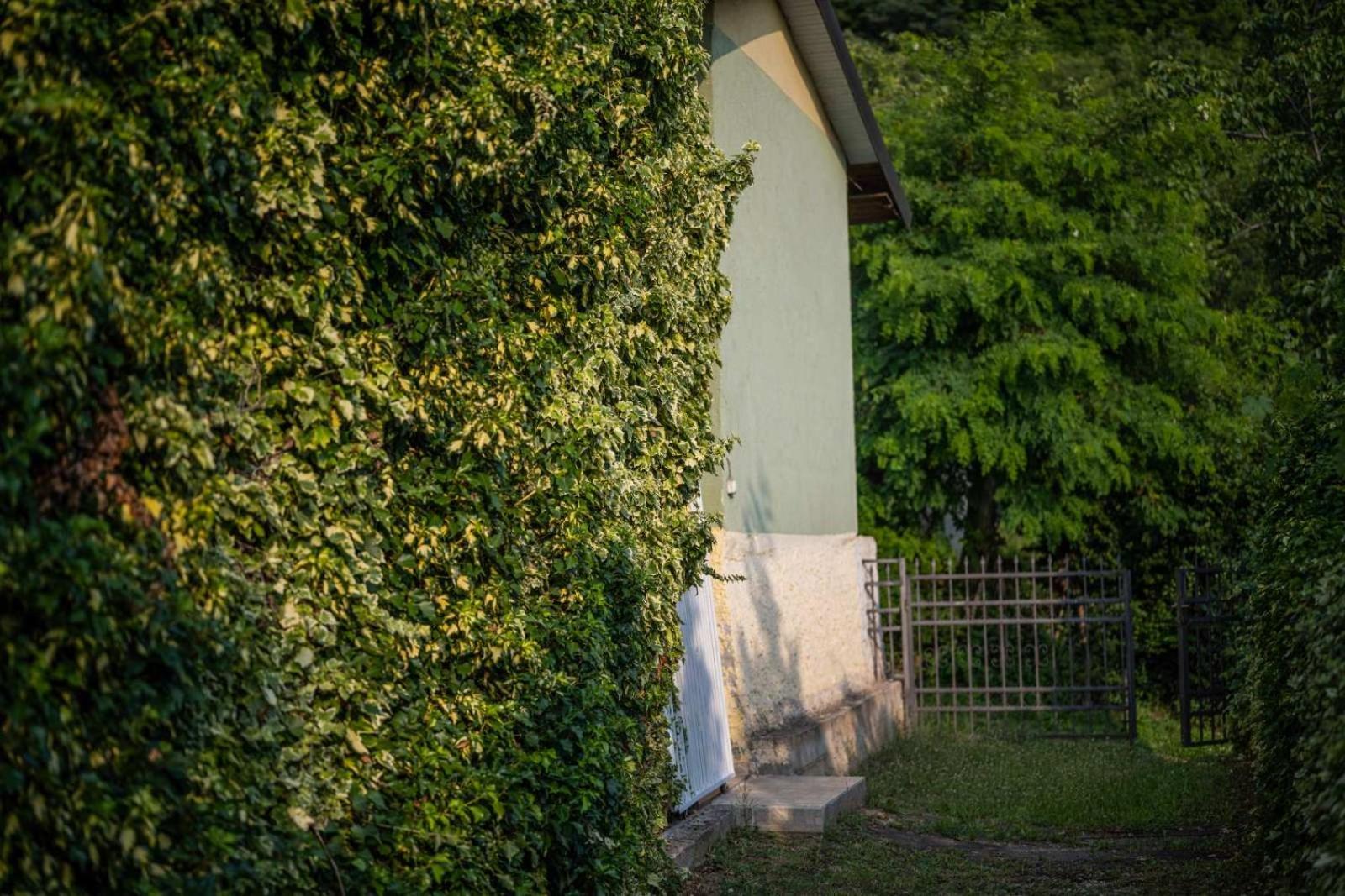 Vacation Home Rot Ochryda Zewnętrze zdjęcie